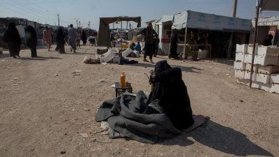 Permalink to:Uncertain Futures: The closure of al-Hol and citizenship deprivation in the UK